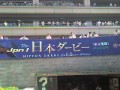 2008年東京優駿