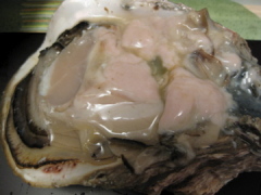 マクロで岩牡蠣