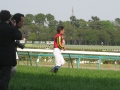a Jockey on the turf